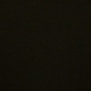 Meet your Posher, Ella